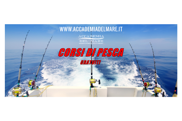 portfolio: Copertina Facebook Accademia del Mare